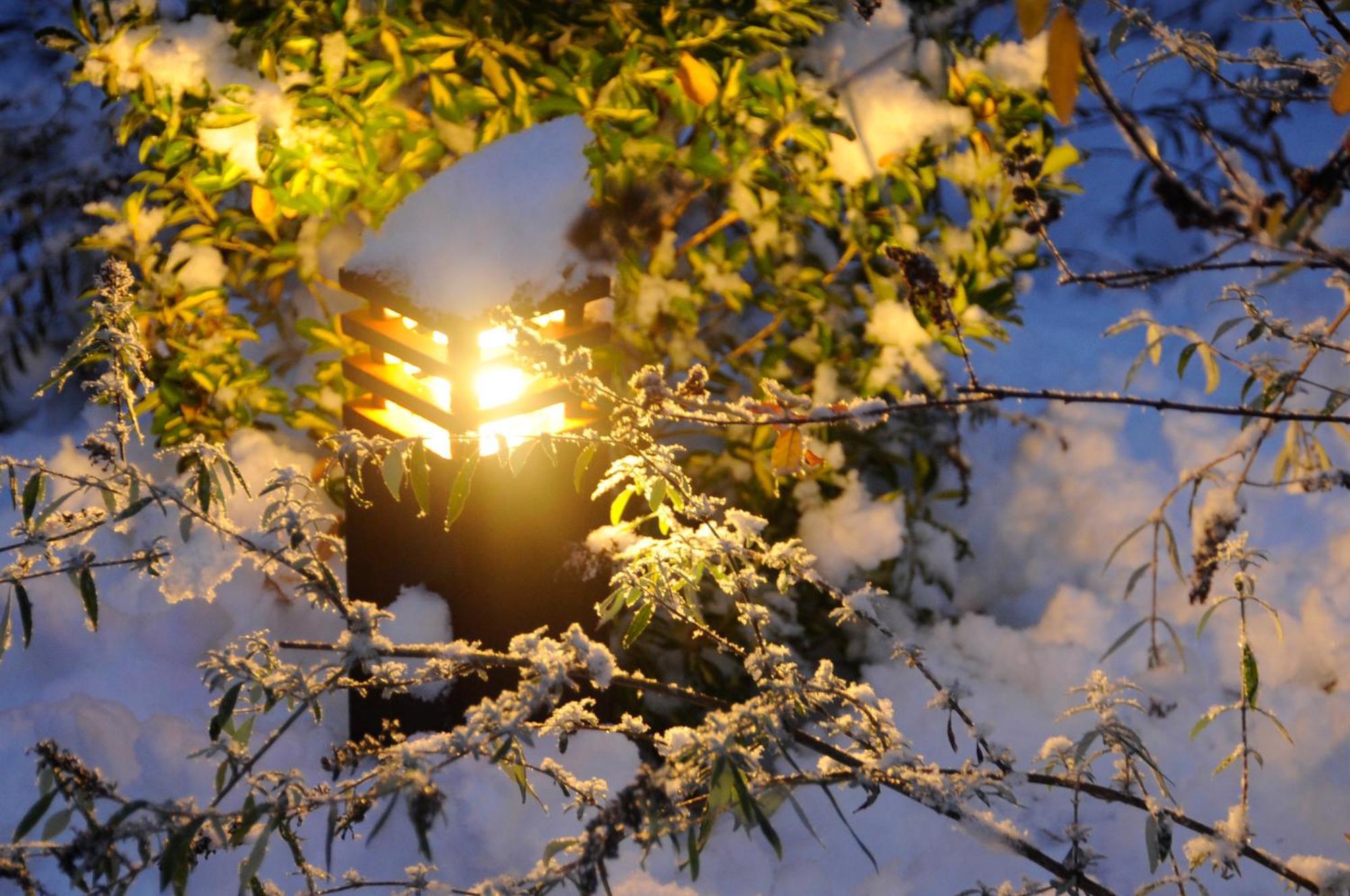 Apparthotel Gartenresidence Nalserhof Bagian luar foto